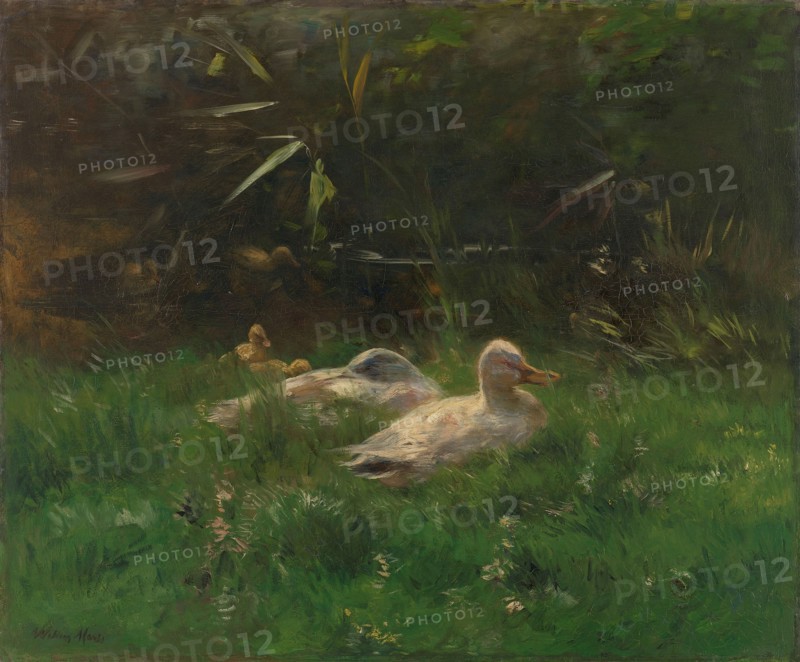 Eenden, c.1880-c.1904. Creator: Willem Maris.