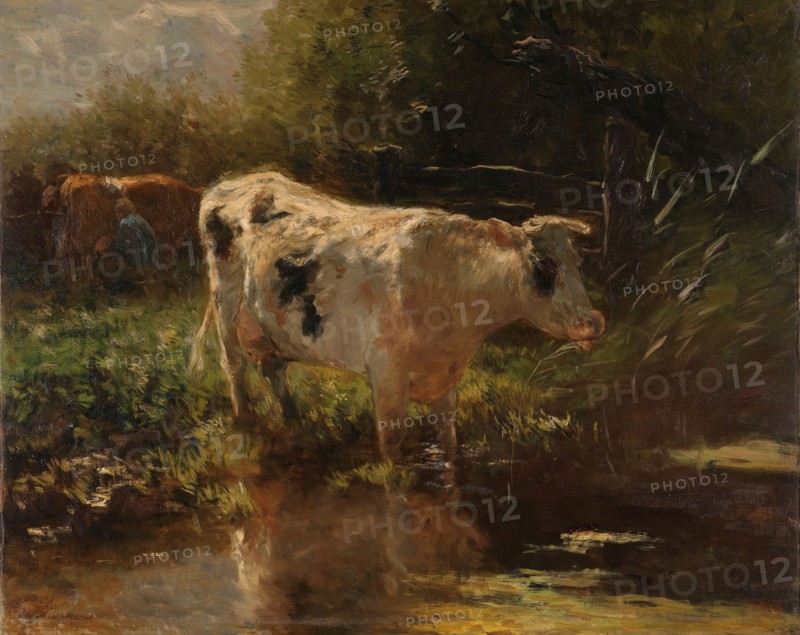 Cow beside a Ditch, c.1885-c.1895. Creator: Willem Maris.