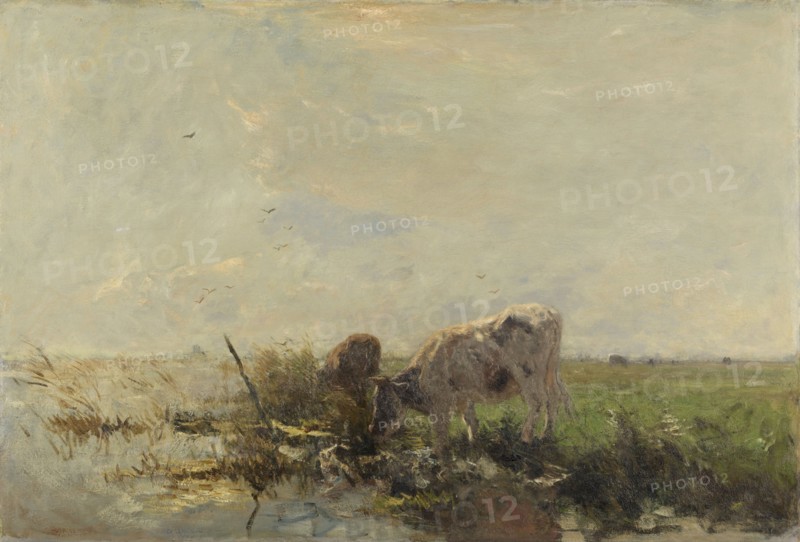 Cows by a pond, 1880-1910.  Creator: Willem Maris.