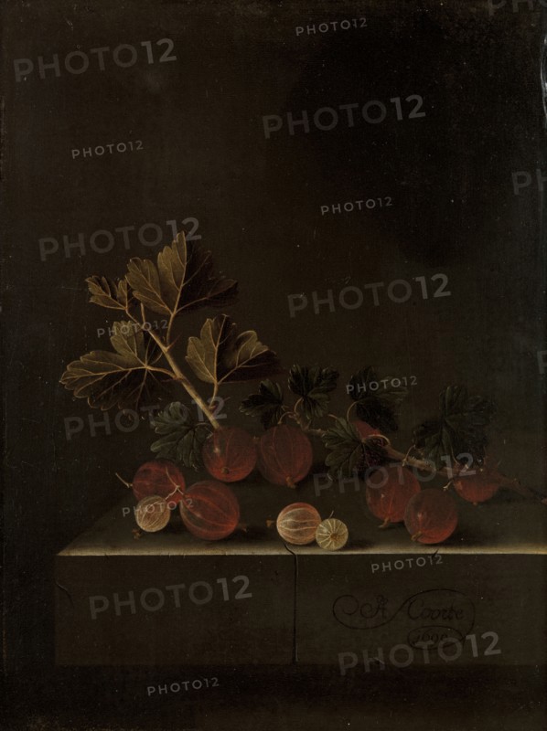A Sprig of Gooseberries on a Stone Plinth, 1699. Creator: Adriaen Coorte.