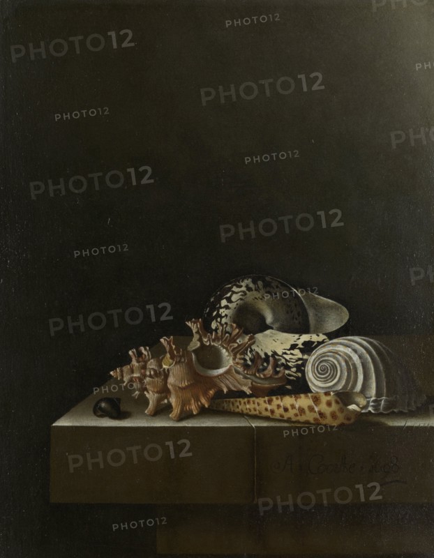 Shells on a Stone Plinth, 1698. Creator: Adriaen Coorte.