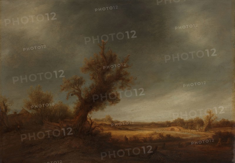 Landscape with an old oak, c.1639-c.1641. Creator: Adriaen van Ostade.