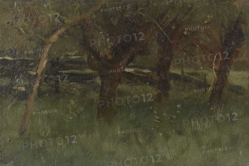 Orchard, 1873-1903.  Creator: George Poggenbeek.