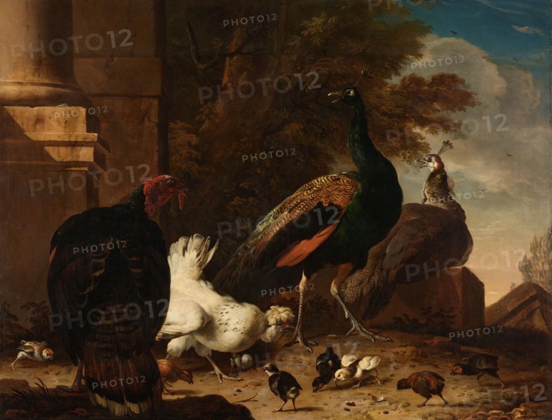 A Hen with Peacocks and a Turkey, c.1680. Creator: Melchior d'Hondecoeter.