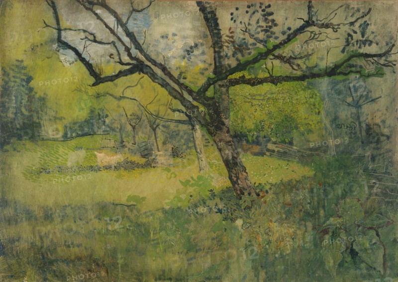 Orchard at Eemnes, 1888-1895. Creator: Richard Roland Holst.
