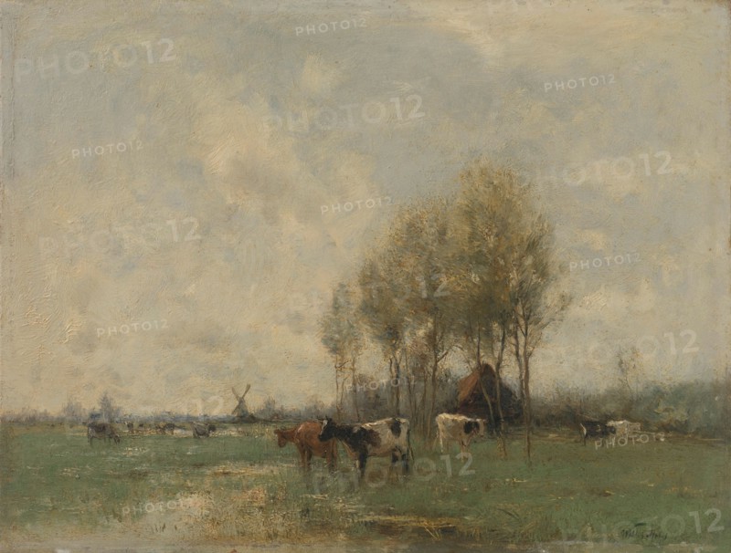 Meadow with cows, 1880-1910.  Creator: Willem Maris.