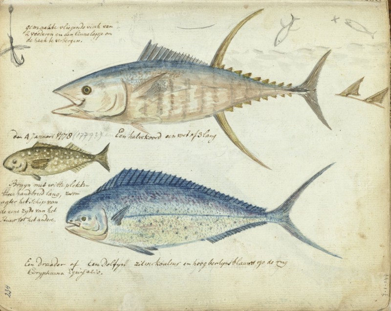 Sea fishing, 1778-1779. Creator: Jan Brandes.