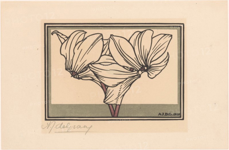 Cyclamen, 1920. Creator: Julie de Graag.
