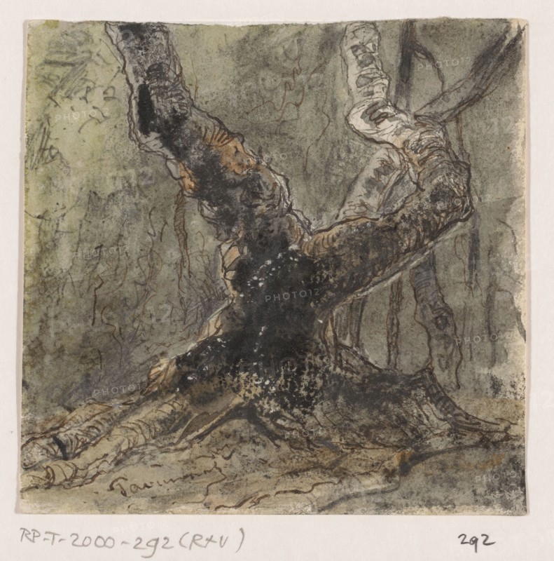 Tree, 1861. Creator: Johannes Tavenraat.