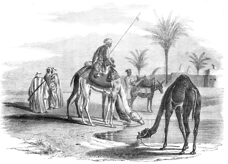 Grand Cairo to Gaza - Village on the Borders of the Desert, 1857. Creator: Smyth.