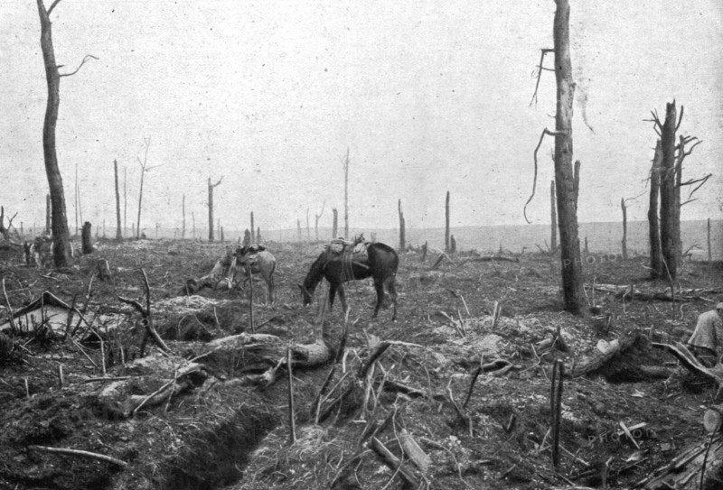 'Sur le rerrain de l'avance Francaise au sud de la Somme; dans le Bois Hache, le bien nomme..., 1916 Creator: Unknown.