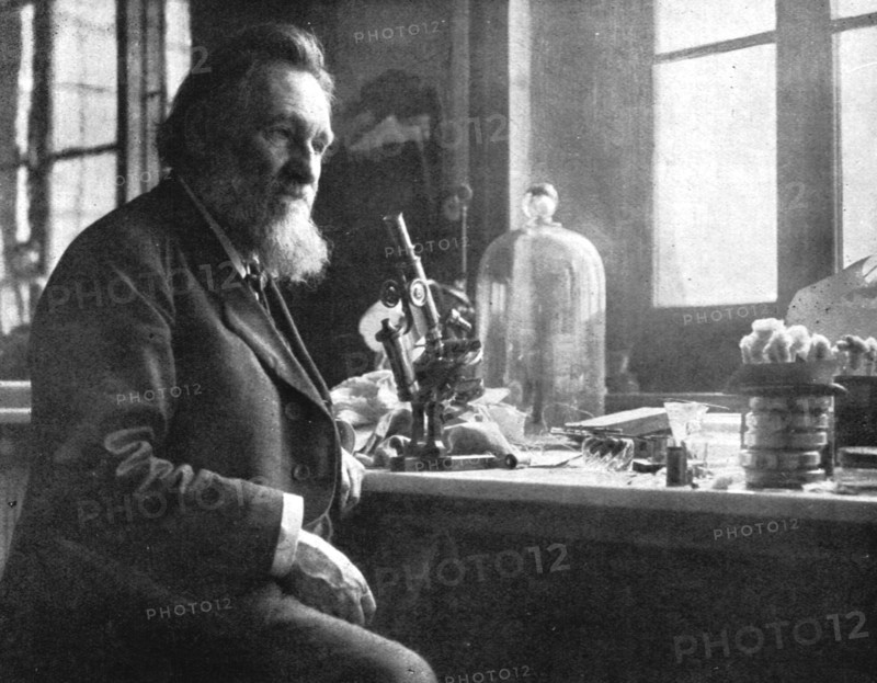 ''Le professeur Elie Metchikoff; sous-directeur de l'institut Pasteur', c1916. Creator: Dornac.