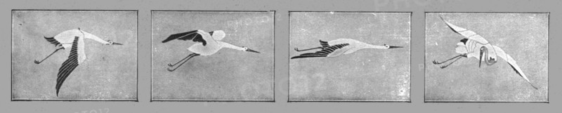 ''Un Vaillant; Les insignes des quatre escadrilles de chasse formant le groupe des Cigognes', 1915. Creator: Unknown.