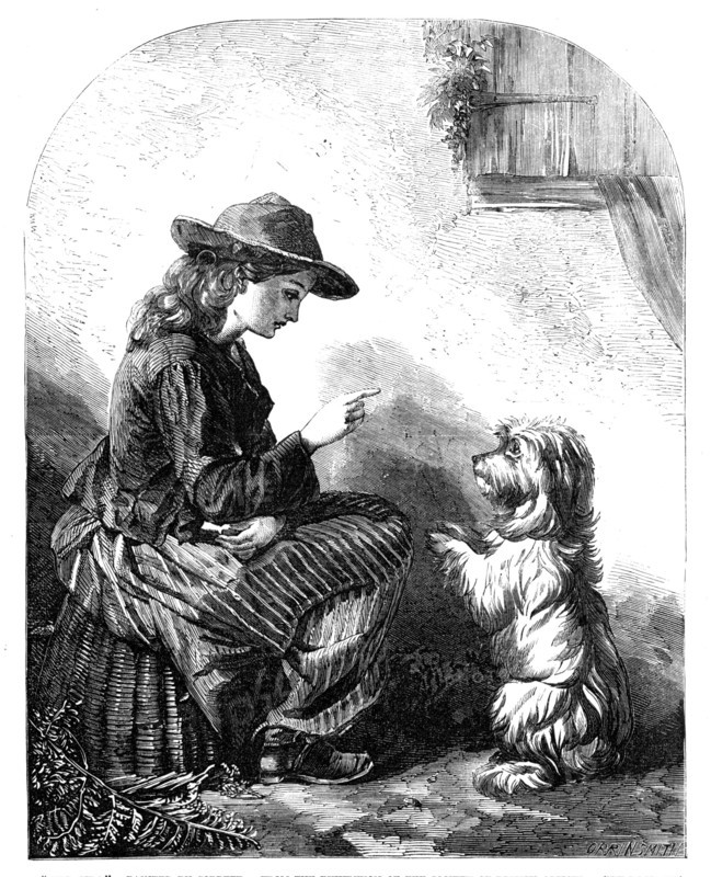 Beg, Sir! - painted by Cobbett, from the Exhibition of the Society of British Artists, 1857. Creator: Harvey Orrin Smith.