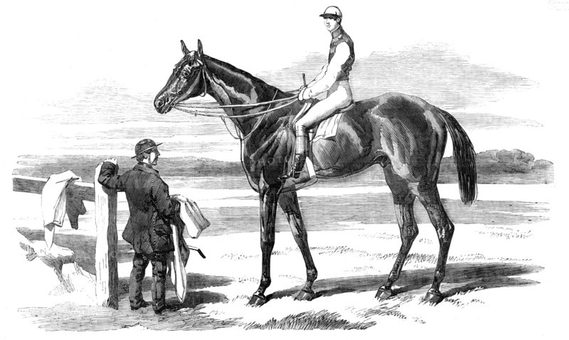 The Celebrated Race-Horse "Fisherman", 1857. Creator: Unknown.