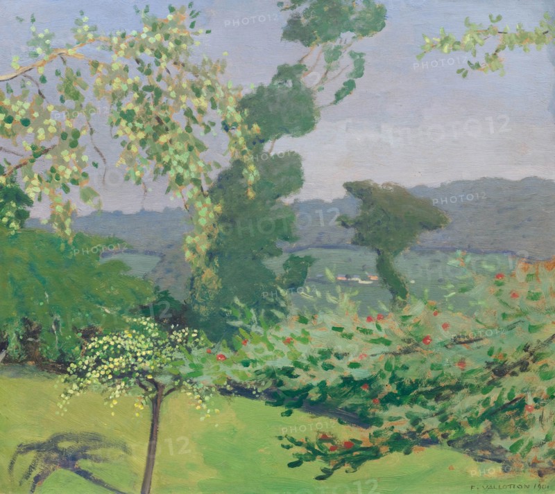 Pommier, Equemauville, 1901. Creator: Vallotton, Felix Edouard (1865-1925).