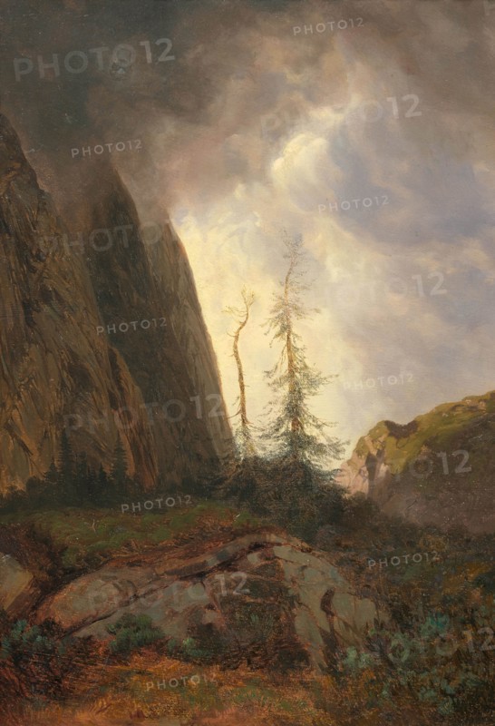 Wettertanne. Creator: Calame, Alexandre (1810-1864).