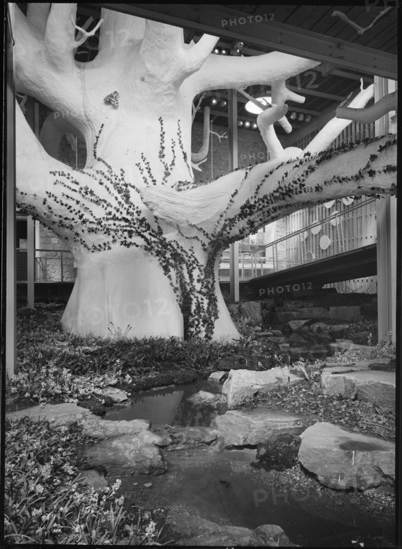 Festival of Britain, South Bank Exhibition, The Natural Scene Pavilion, South Bank, London, 1951. Creator: Margaret F Harker.