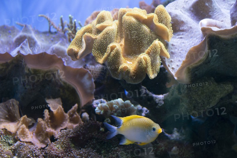 Monterey Bay Aquarium, Monterey, California, USA, 2022. Creator: Ethel Davies.