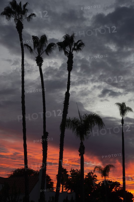 Kensington, San Diego, California, USA, 2022. Creator: Ethel Davies.