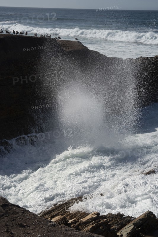 Montana de Oro, San Luis Obispo, California, USA, 2022. Creator: Ethel Davies.