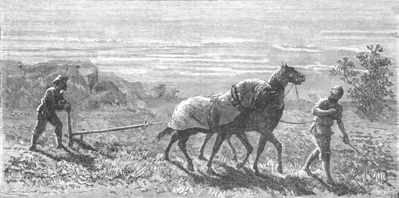 ''Ploughing in Turkestan; Notes on Western Turkistan', 1875. Creator: Unknown.