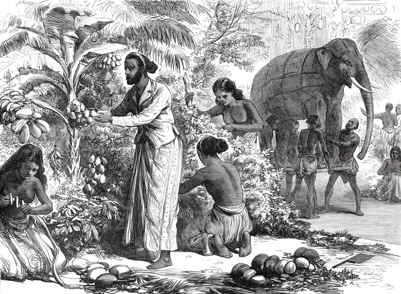 Preparing the decorations at Colombo, Ceylon, for the Royal Visit, from a sketch by one..., 1876. Creator: Unknown.