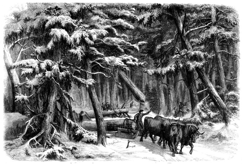 Lumbering in New Brunswick - Lumbermen at Work in the Forest, 1858. Creator: Unknown.