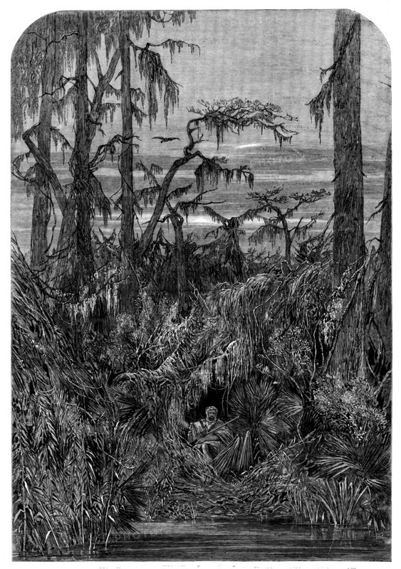 Transatlantic Sketches - a Swamp in Louisiana - from a drawing by Mrs. Bodichon, 1858. Creator: Unknown.