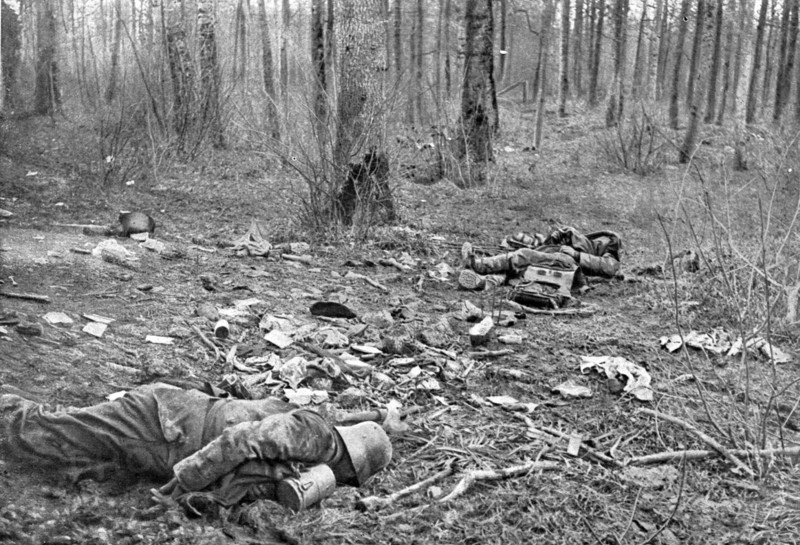 'Dans la Bataille; Une clairiere du parc du Plessis-de-Roye, apres le combat du 30 mars 1918', 1918. Creator: Unknown.