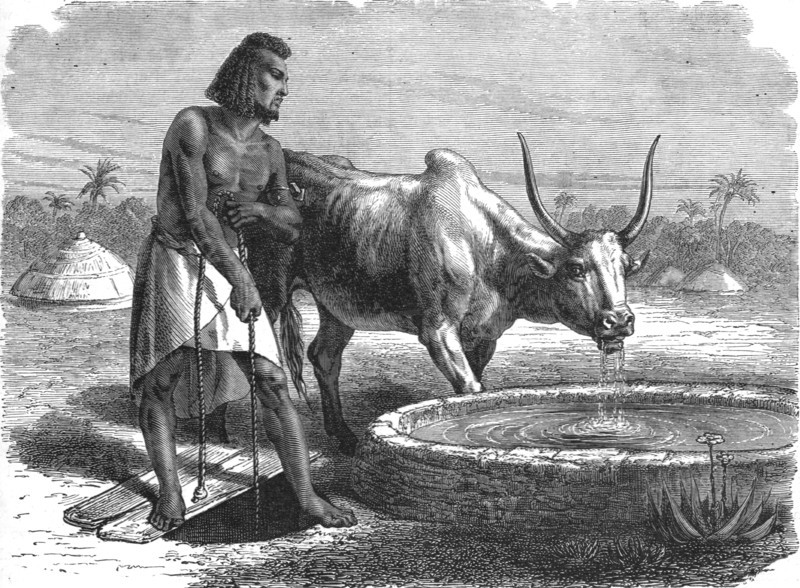 'Samhar peasant at a well; A journey through Soudan and Western Abyssinia..., 1875. Creator: Unknown.