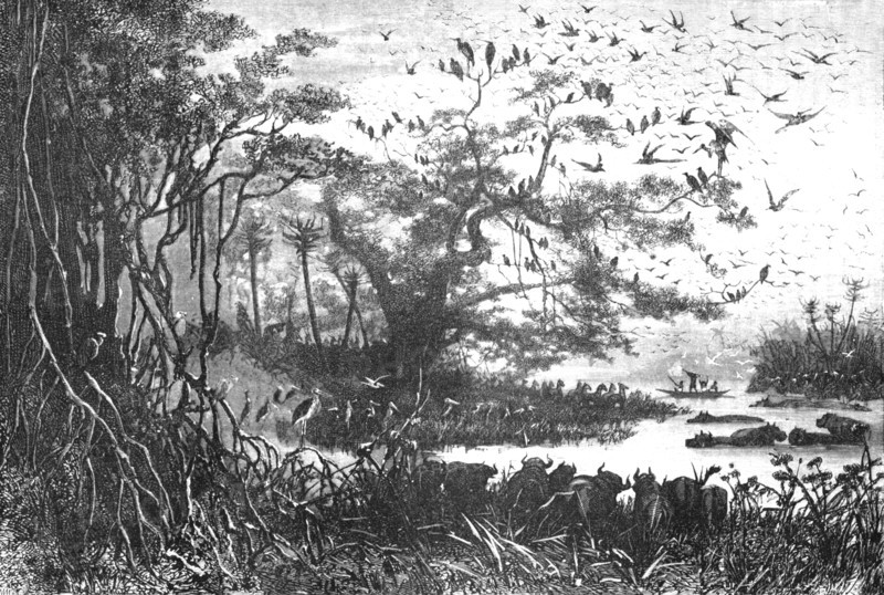 ''Lake scenery in Central Africa; The regions of the Cazembe', 1875. Creator: Unknown.