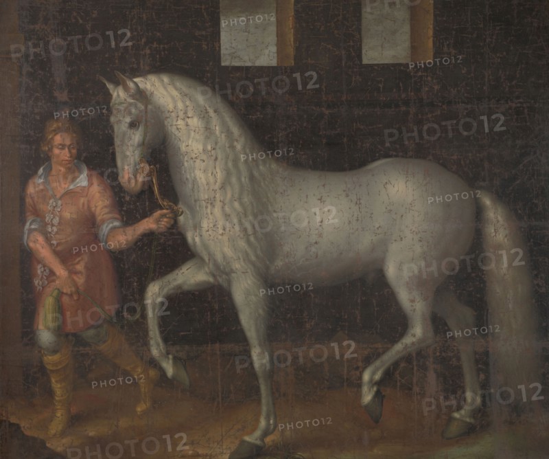 Spanish Warhorse, 1603. Creator: Jacques de Gheyn II.