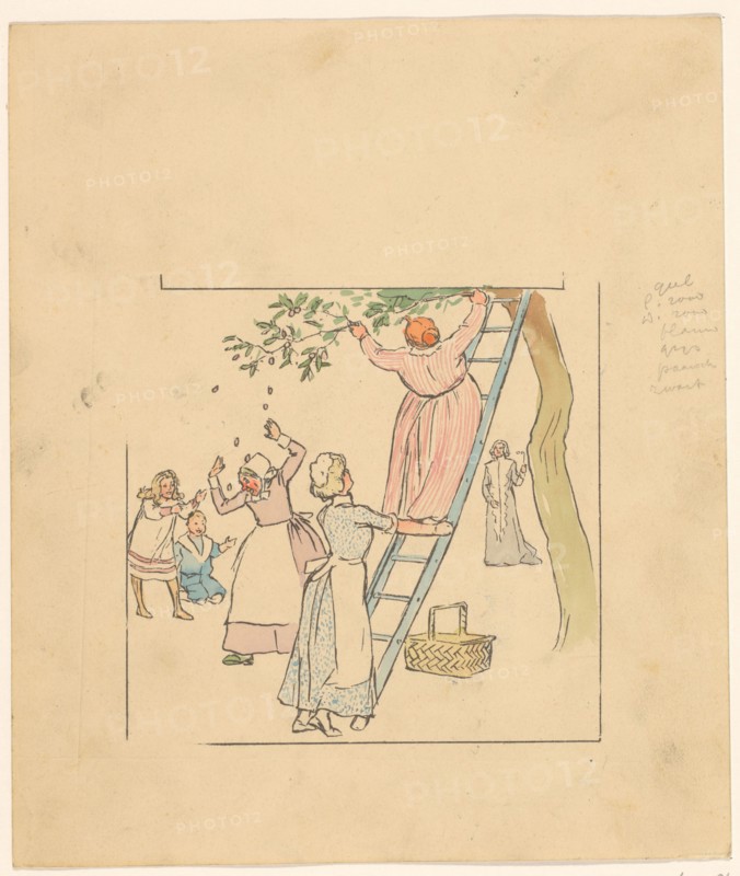 People picking plums, c.1880-c.1910.  Creator: Anon.
