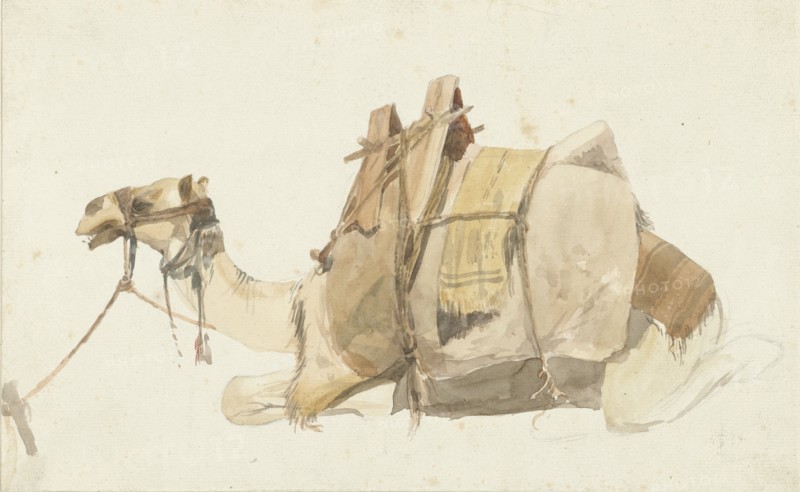 Loaded camel, 1821-1847. Creator: Prosper Georges Antoine Marilhat.