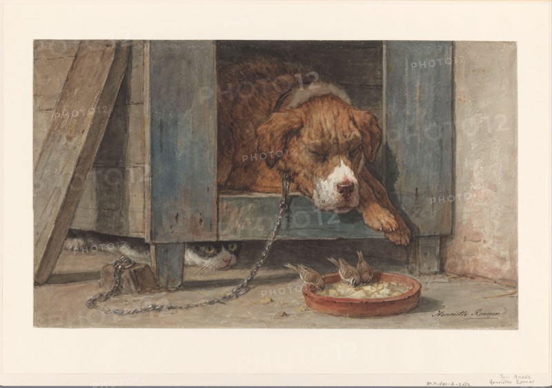 Cat spies birds with a sleeping dog, 1831-1892. Creator: Henriette Ronner.