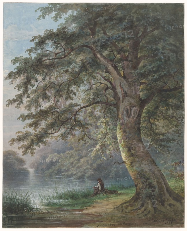 Angler under a large tree near a pond, 1882. Creator: Jan David Geerling Grootveld.