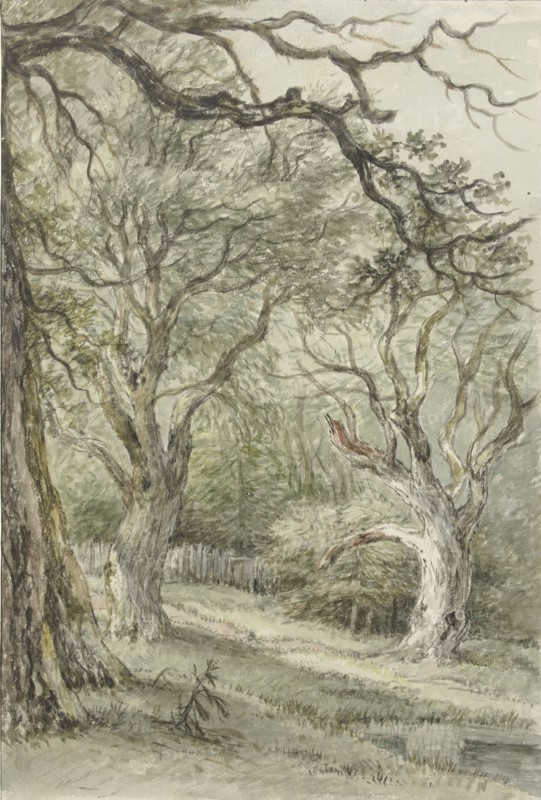 Forest face, 1776-1822. Creator: Jan Hulswit.