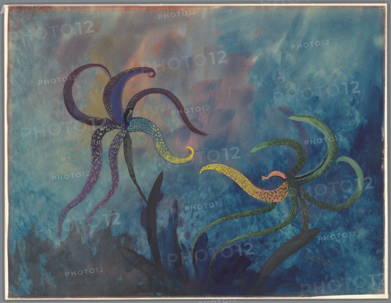 Fighting Orchids, 1917. Creator: Adrianus Johannes Jacobus de Winter.