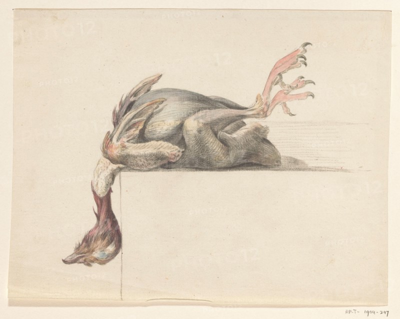 Plucked bird, hanging down with the head, 1775-1833. Creator: Jean Bernard.
