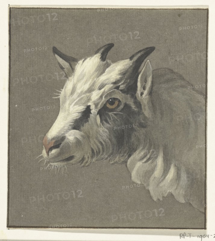 Head of a goat, to the left, 1775-1833. Creator: Jean Bernard.