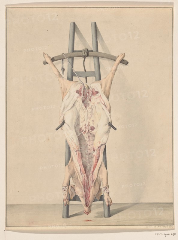 Slaughtered pig, 1796. Creator: Jean Bernard.