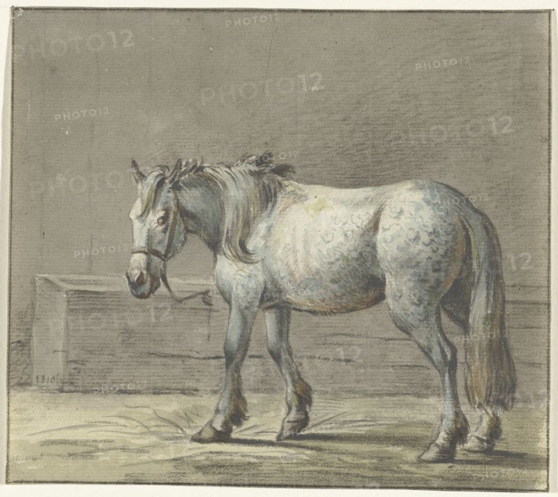 Standing horse in a stable, left, 1810-1816. Creator: Jean Bernard.
