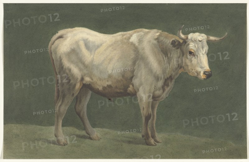 Standing bull, to the right, 1775-1833. Creator: Jean Bernard.