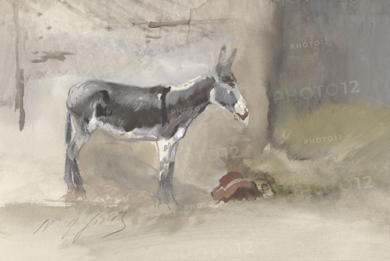 Donkey in a stable, 1856-1882. Creator: Jules baron Finot.