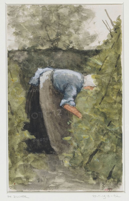 Woman in the vegetable garden, 1877. Creator: Philip Zilcken.