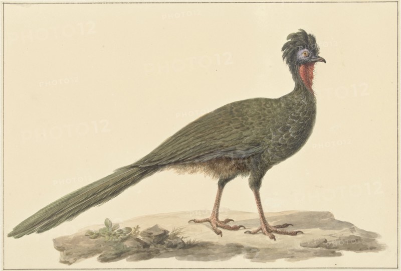 Penelope, on the ground, 1759-1842. Creator: Pieter Bartholomeusz. Barbiers.
