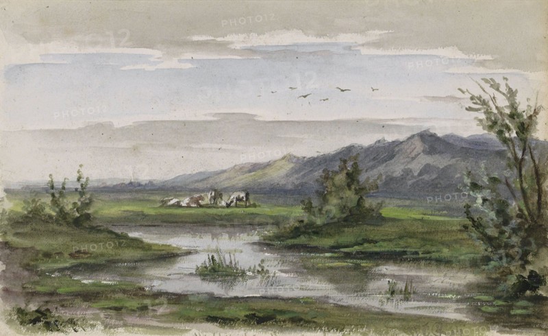 Wielersche Meer in Gelderland, 1874-1875. Creator: Willem Cornelis Rip.