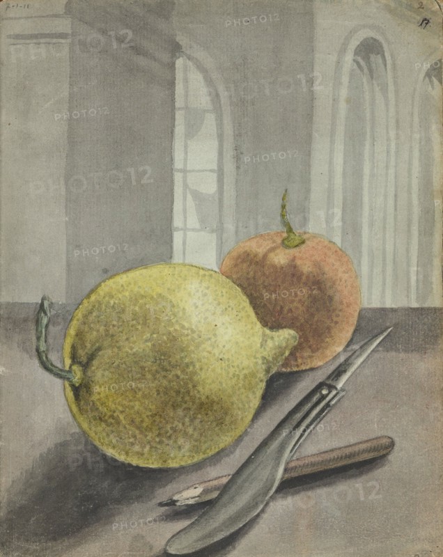 Still life with fruit, knife and pencil., 1779-1785. Creator: Jan Brandes.