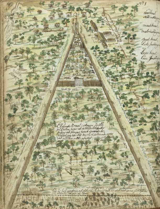 Bird's eye view of elephant corral, 1785. Creator: Jan Brandes.